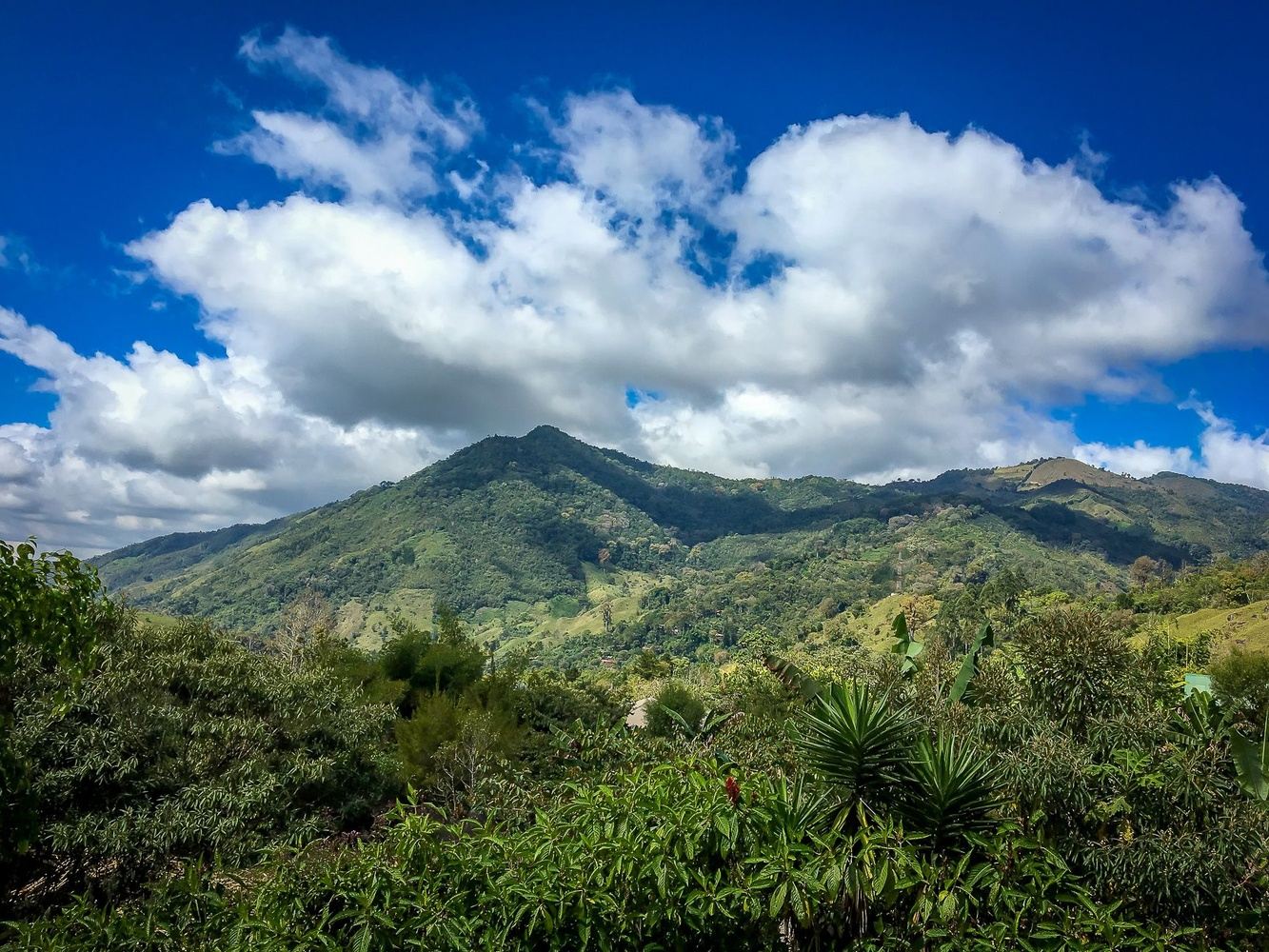 Expressions, Costa Rica