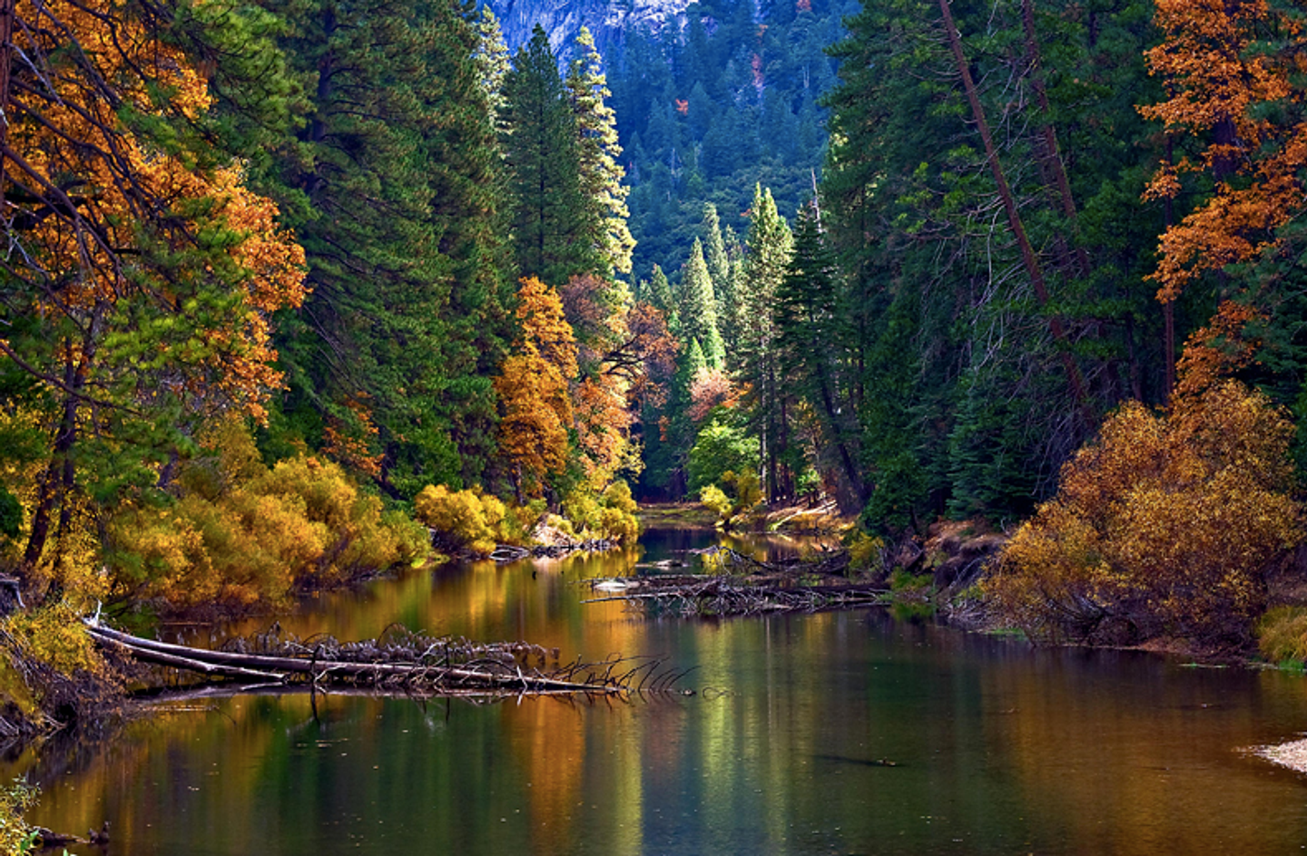 Autumn Gorgeous: Yosemite Yoga Retreat