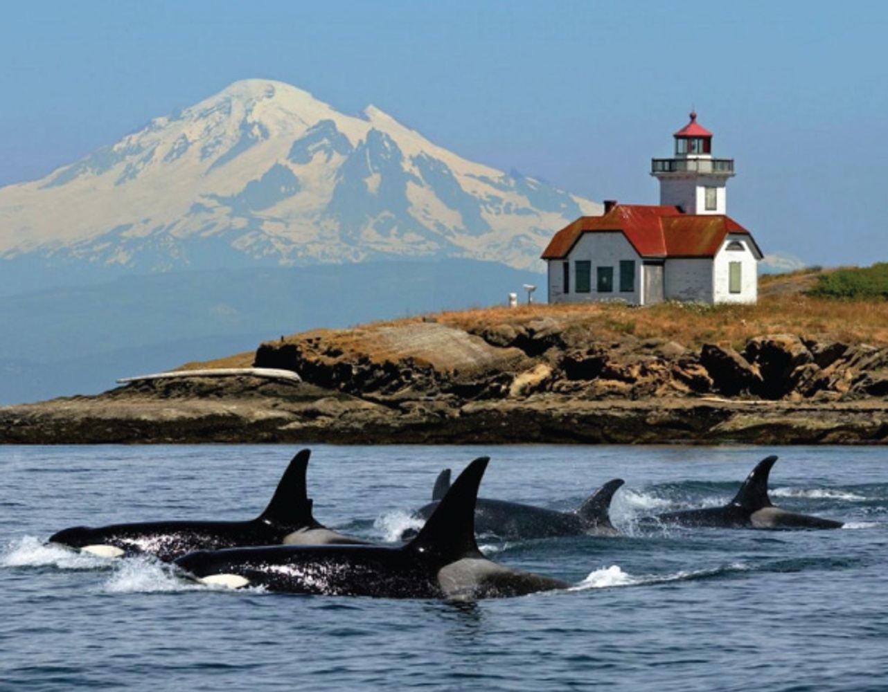 Bellingham with San Juan cruise and Northwest Tour (6-days)