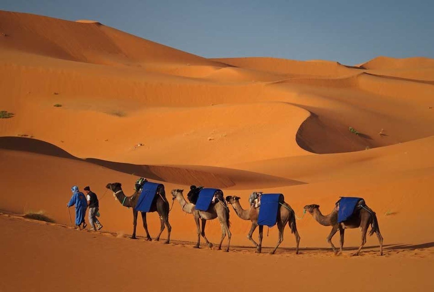 Explore the Moroccan Sahara & Marrakech on Long Weekend