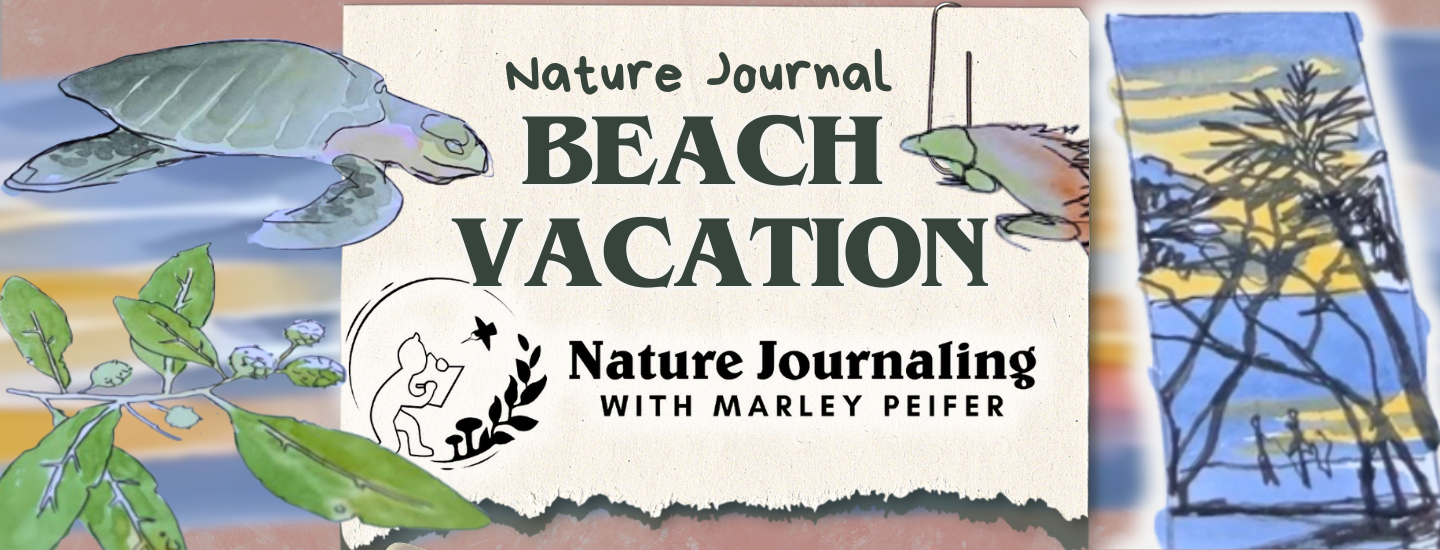 Beach Vacation 🌅 Nature Journaling in Costa Rica