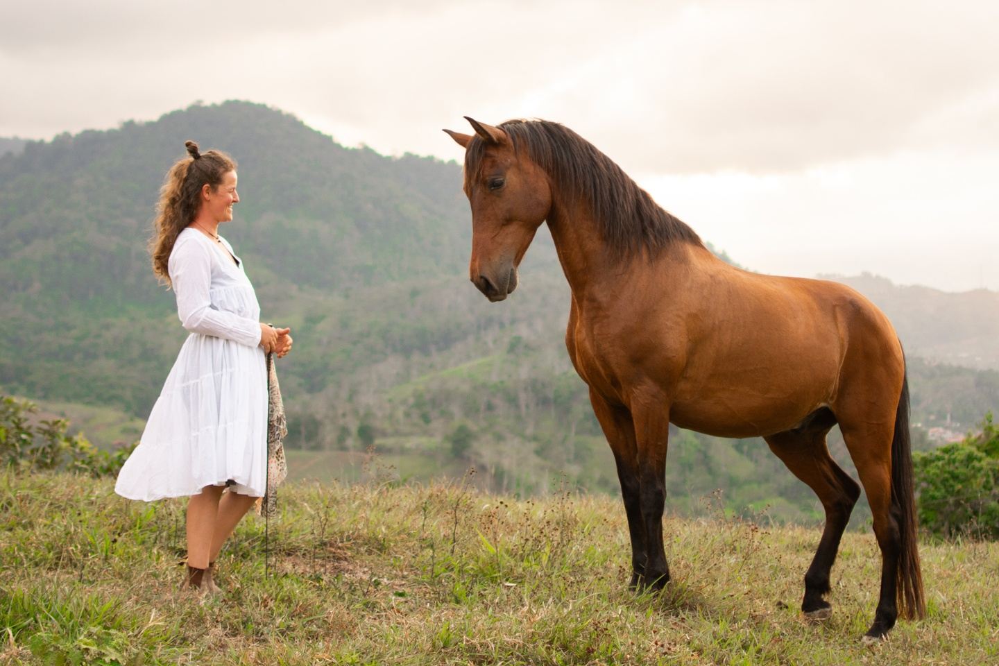 Simple Horse Stay