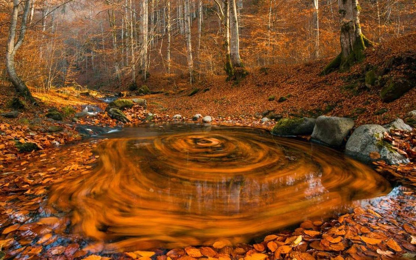 Reverence in the Cave-Womb of the Dreaming Earth