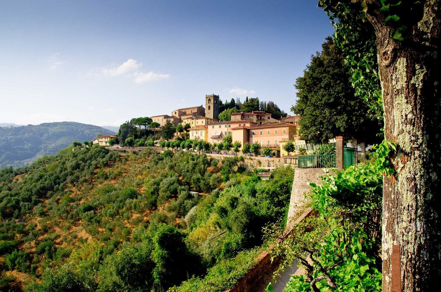 Tuscany: Off the Beaten Path with Larry Kanfer