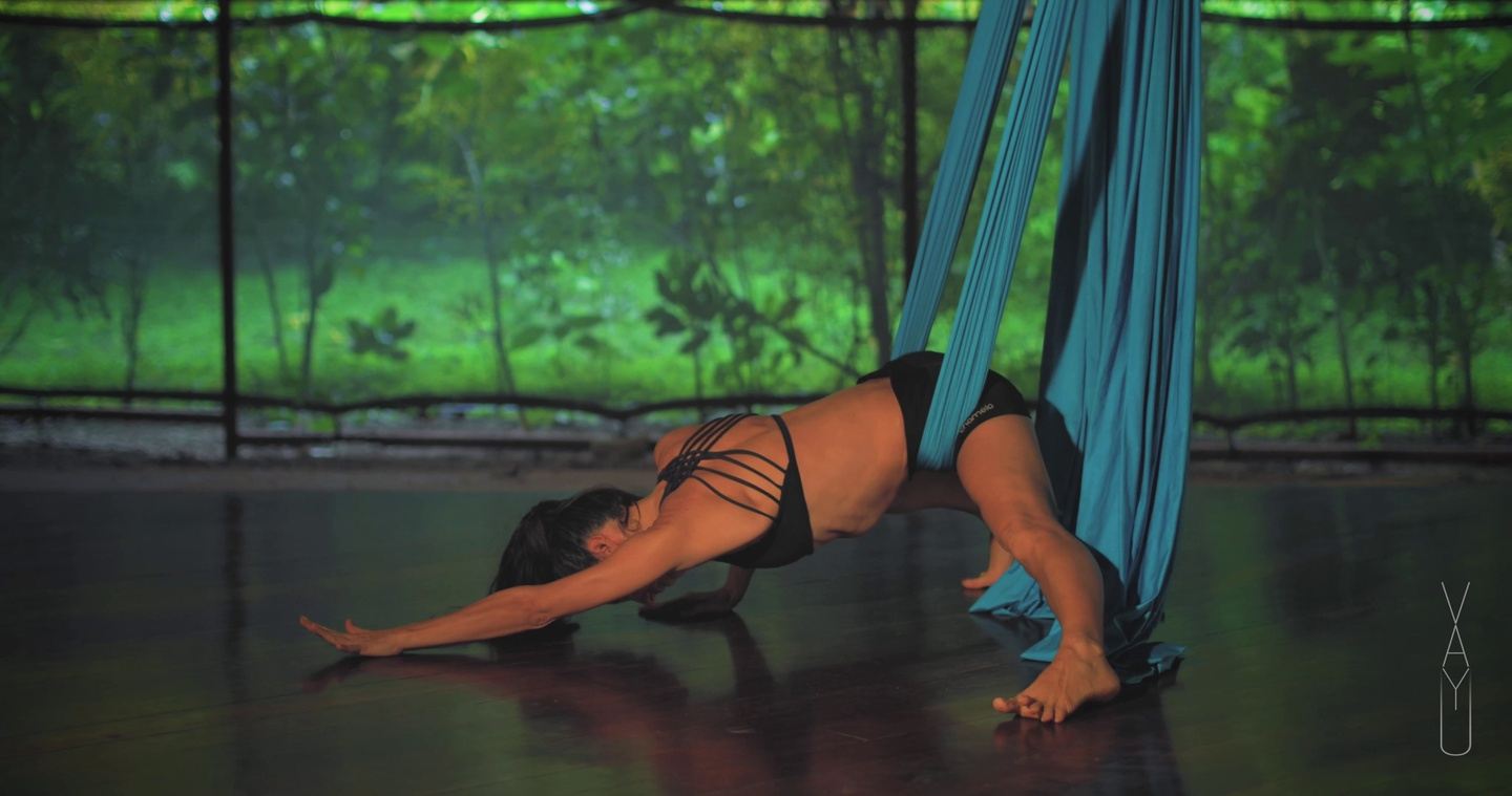 VAYU Aerial Yoga Pre-Training Retreat