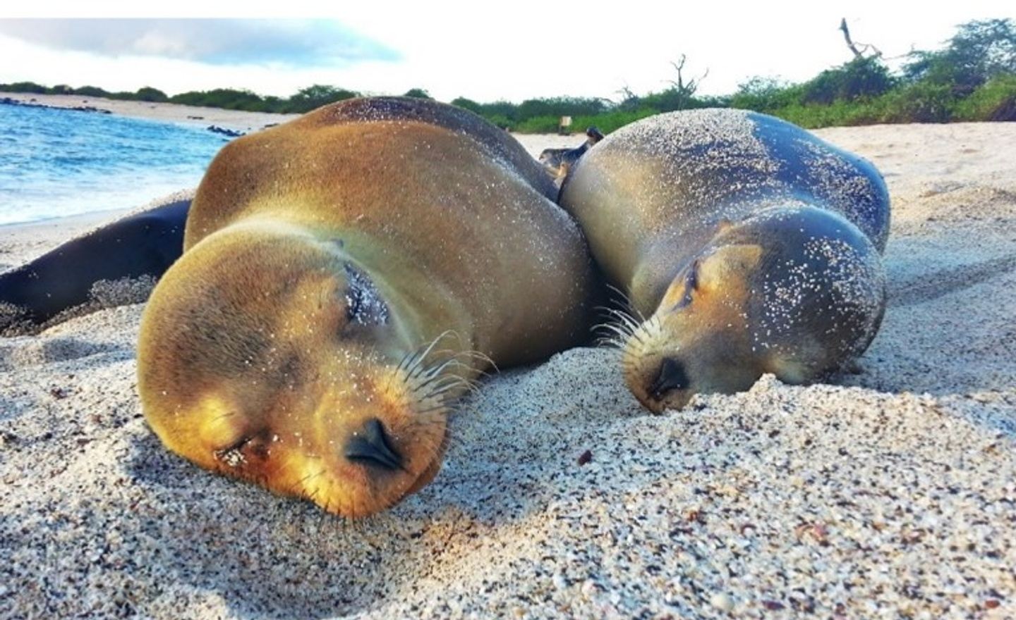 Galapagos July 2024 - small group tour