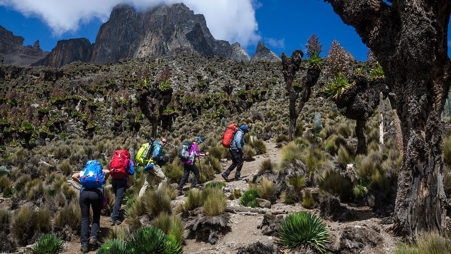 5 Days Mt Kenya Climb