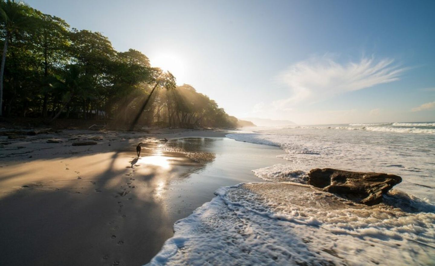 Yoga and Surf Trip Costa Rica Julio 2025