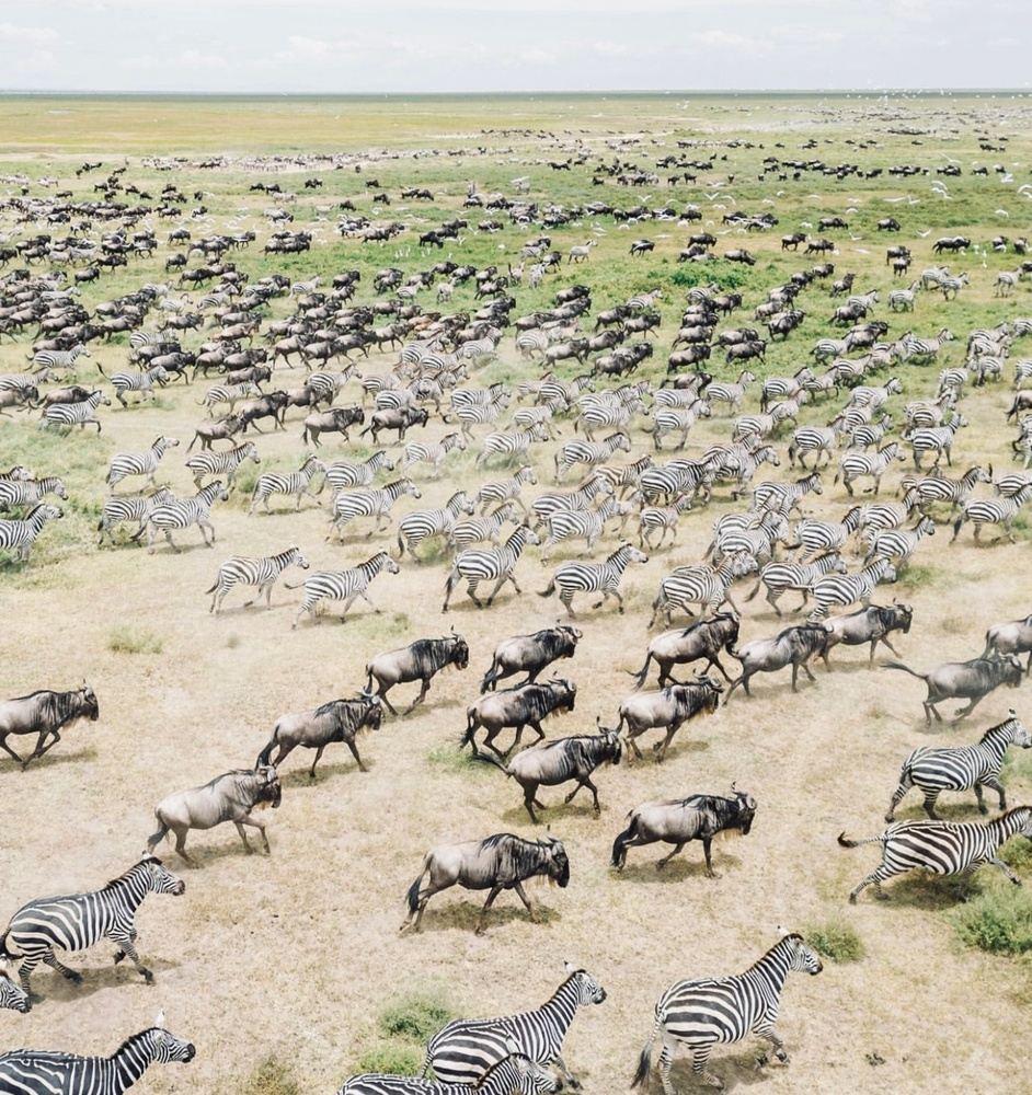 7 Days Northern Tanzania Safari