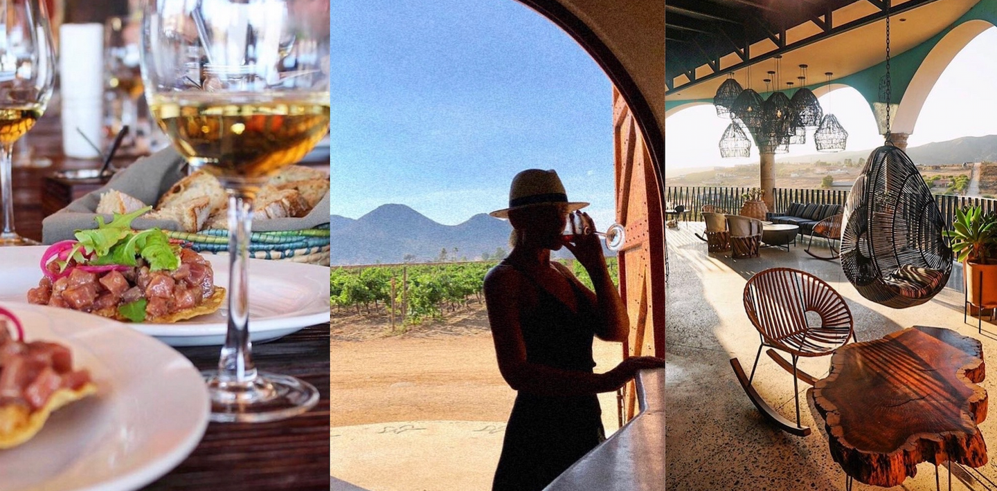 Valle de Guadalupe Day Trip