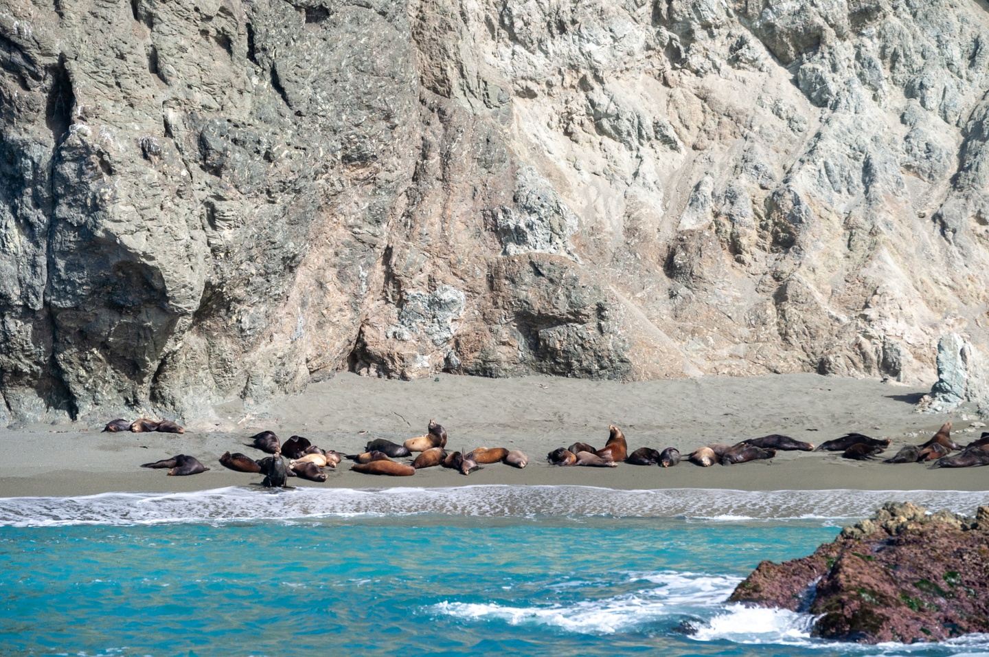 Bahía Magdalena: Ocean Safari 2025 (6-8 enero)