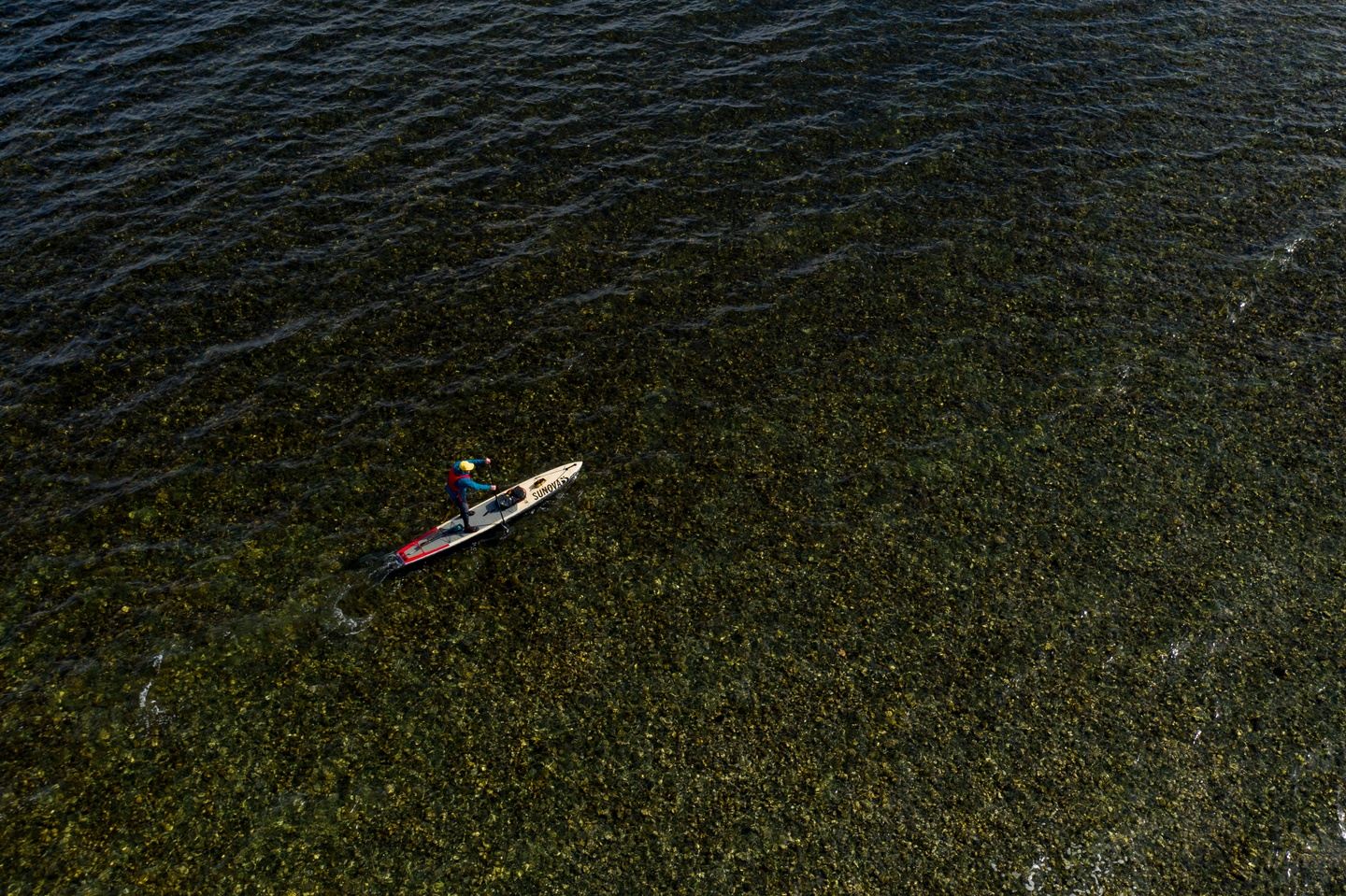 Explore Comox Paddles