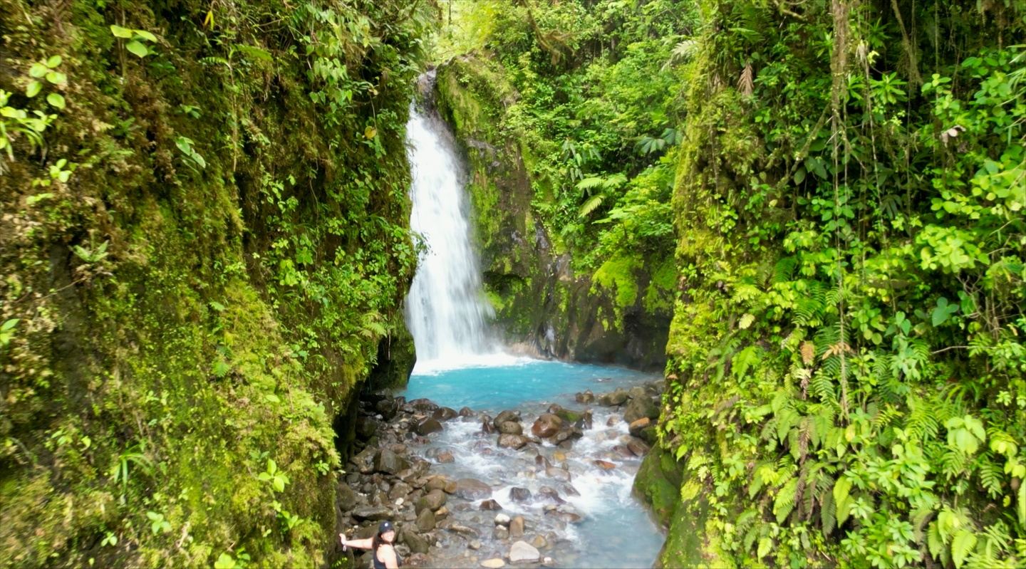 🌴Costa Rica Business Adventure: Growth, Connection & Exploration 🌴