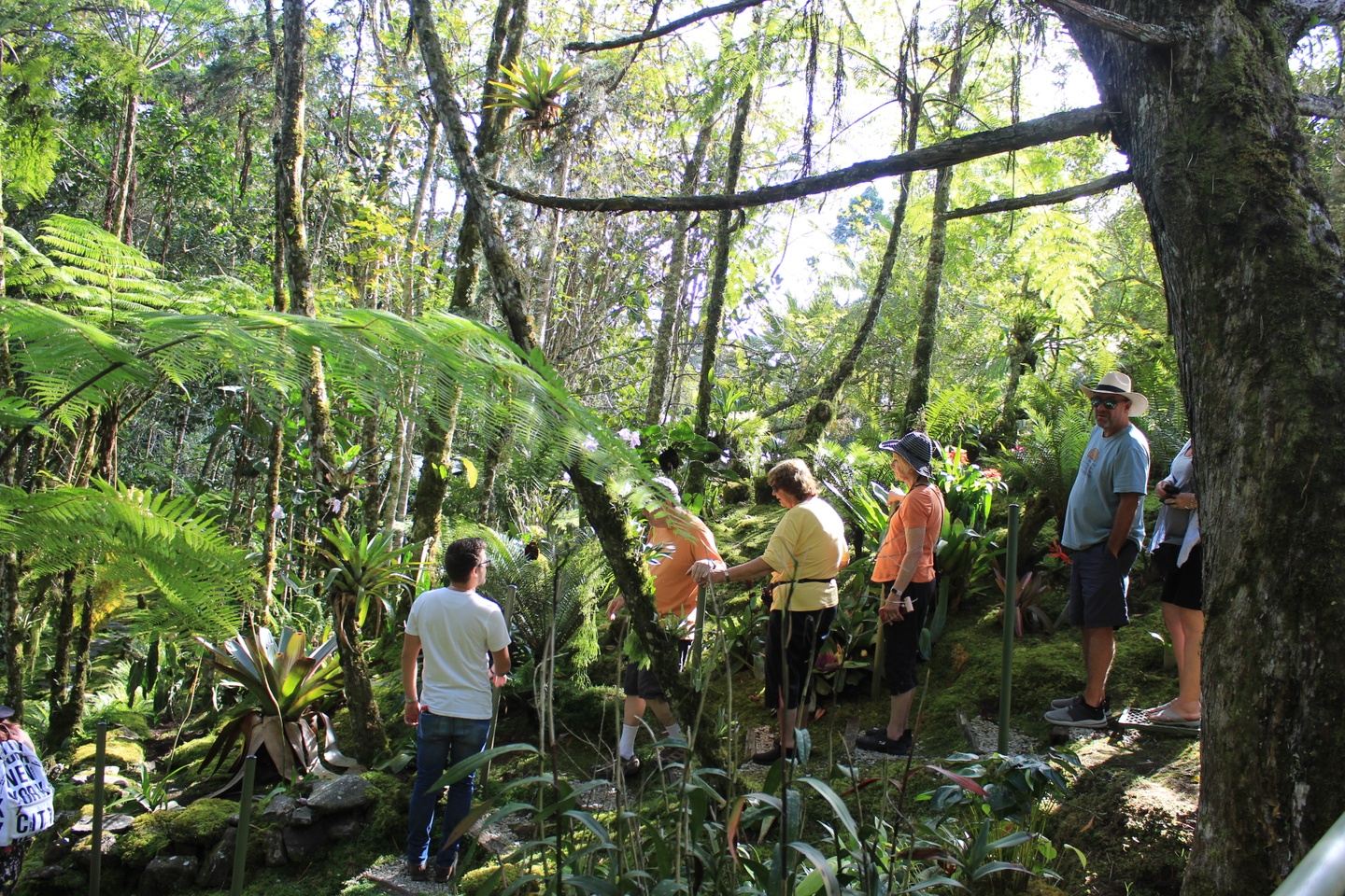 Urban Beats to Forest Retreats: Escape to Medellín 2025
