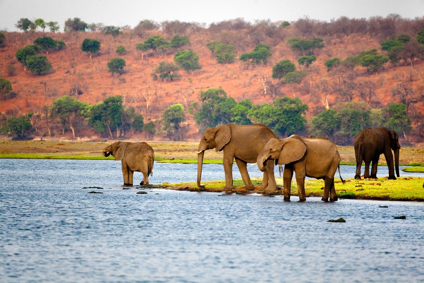 Deluxe 5-day Safari in Botswana 2023
