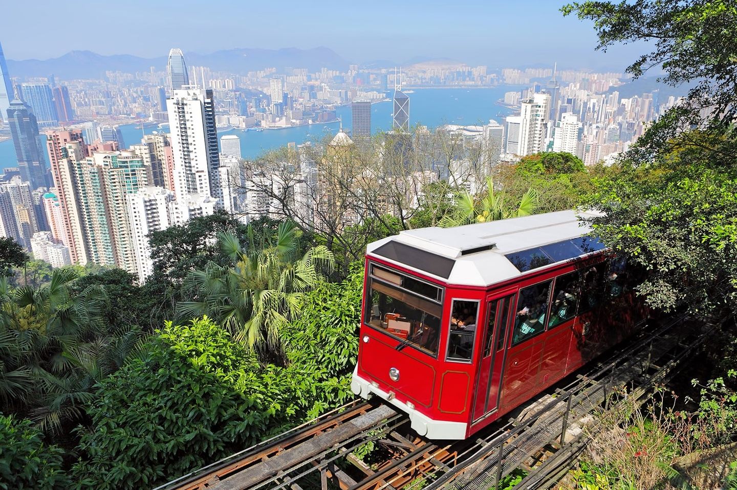 Private 8 Hours Highlights Tour of Hong Kong Island