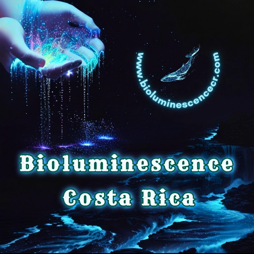 Bioluminescence Kayak tour in Paquera, Provincia de Puntarenas ...