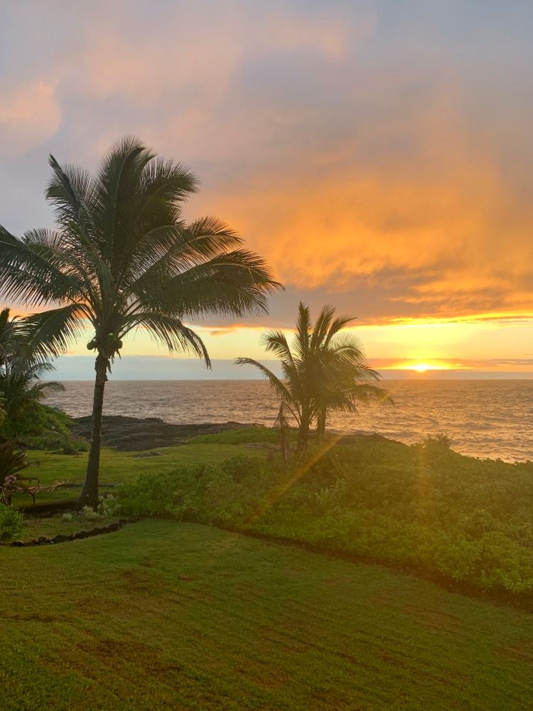 Heald with Aloha... a CRAVE Retreats Event