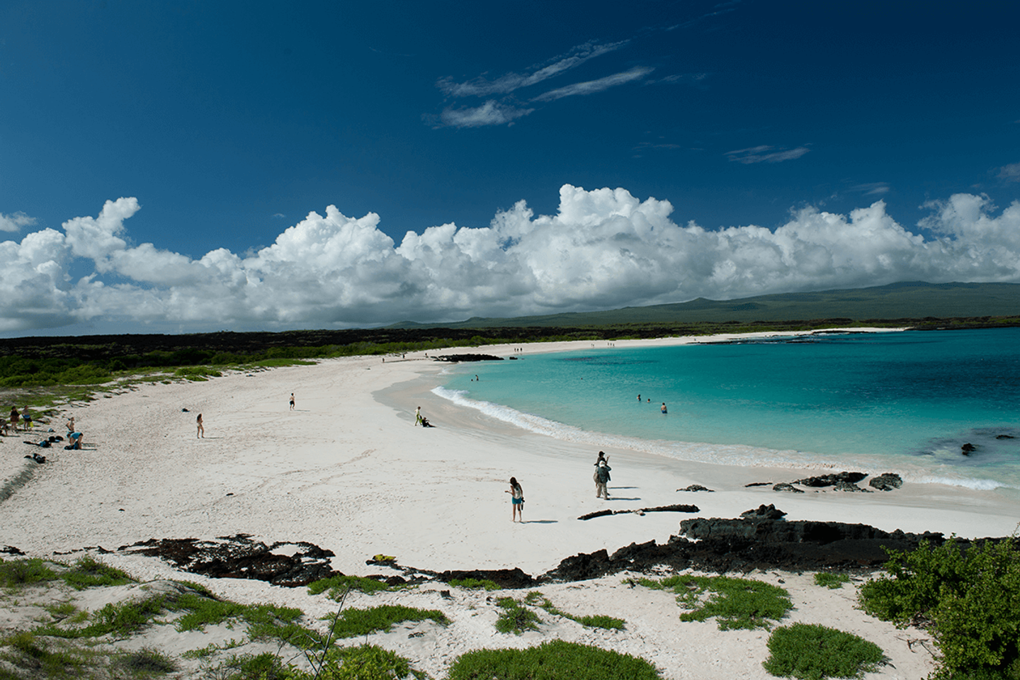 GALAPAGOS 6 DAYS/5 NIGTHS LAND TOUR (Santa Cruz and Pinzon)