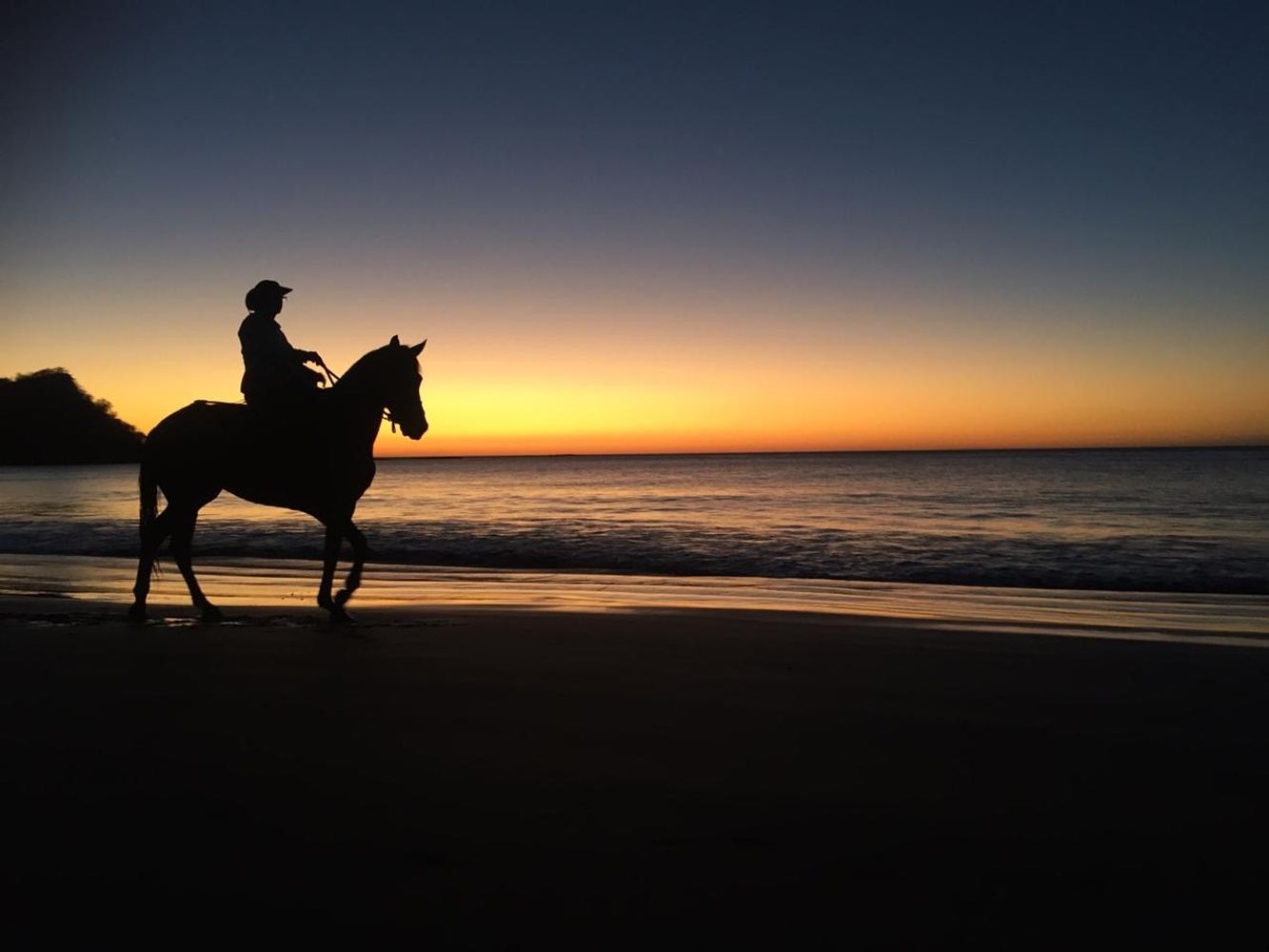 Swimming with Horses - Beach Ride