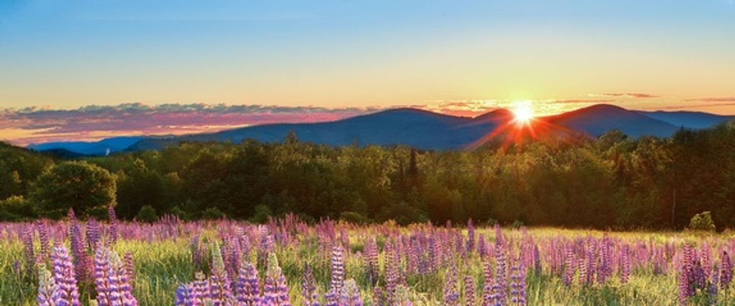 Reiki Retreat in Beautiful Bartlett, NH