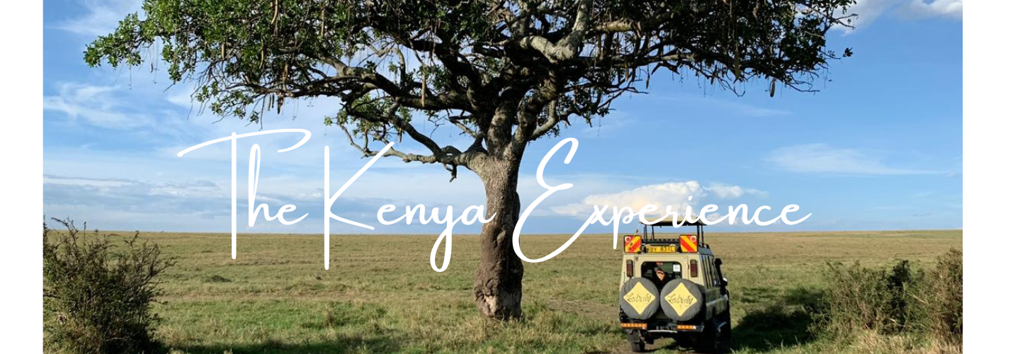 The Kenya Experience