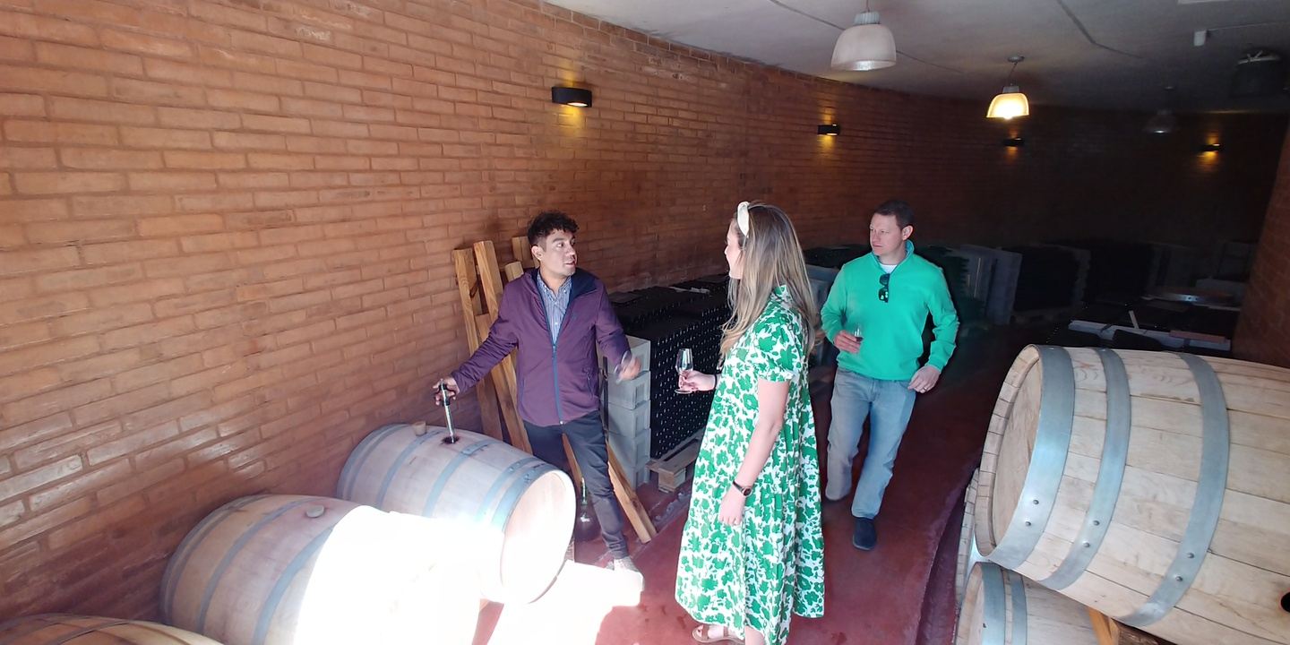 Mendoza - Maipu Wine Tour