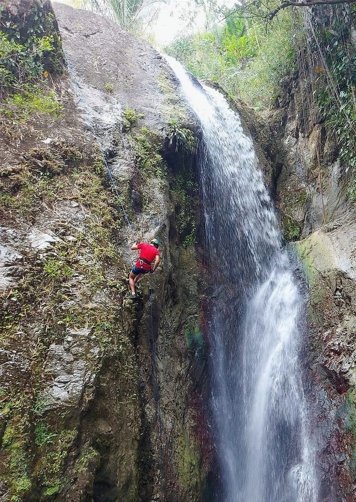 Tobago Highlands