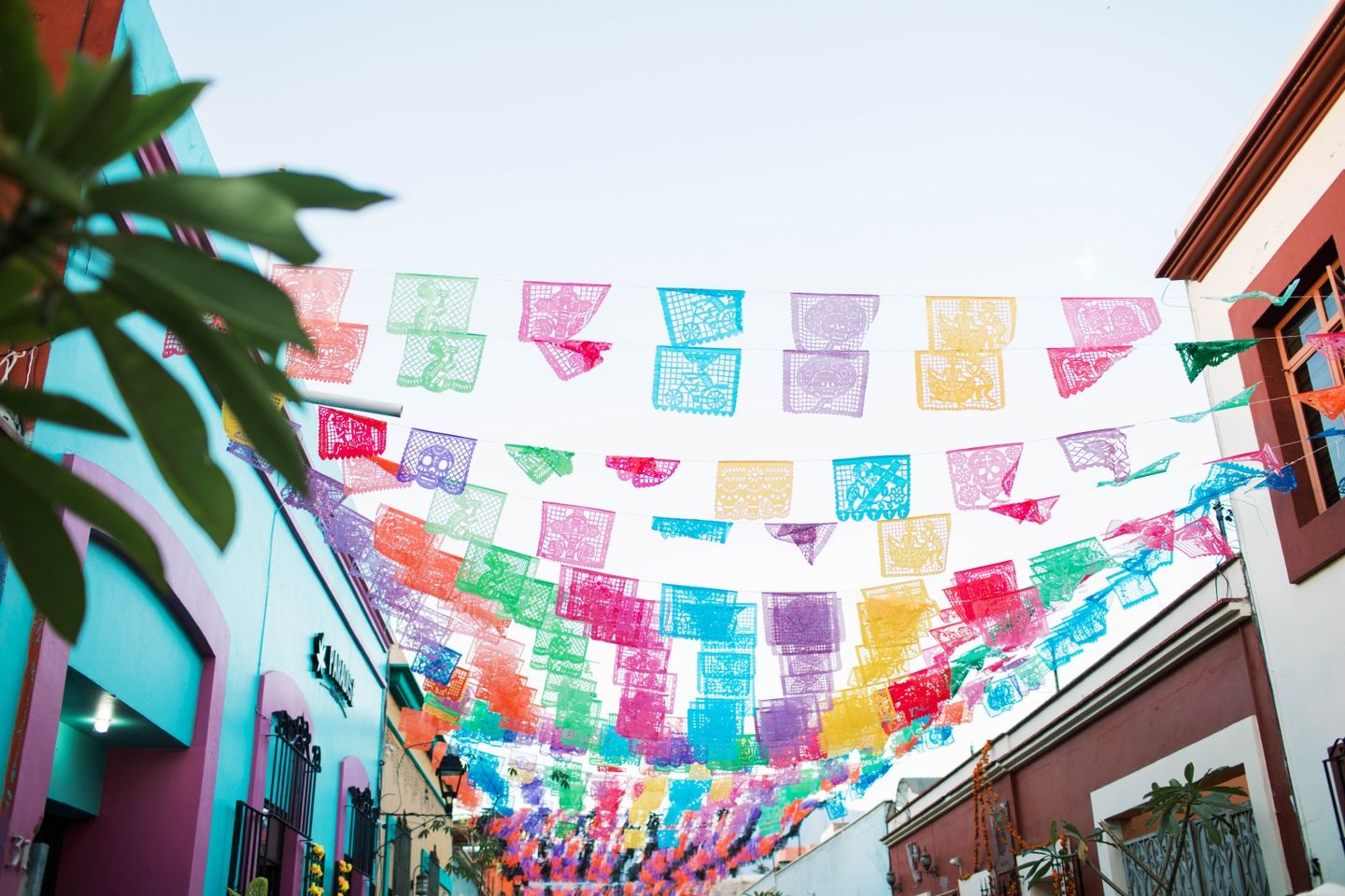Oaxaca: Culture, Cuisine & Día de Muertos