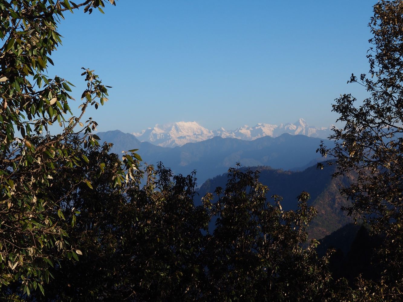 Himalayan Meditation and Yoga Retreat