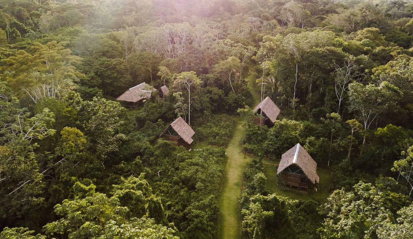 Alma de Amazonia: Retiro Femenino Creativo en Amazonas