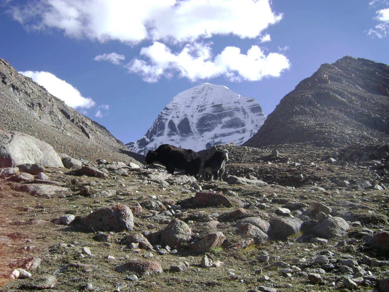 Mount Kailash & Manasarover Tour