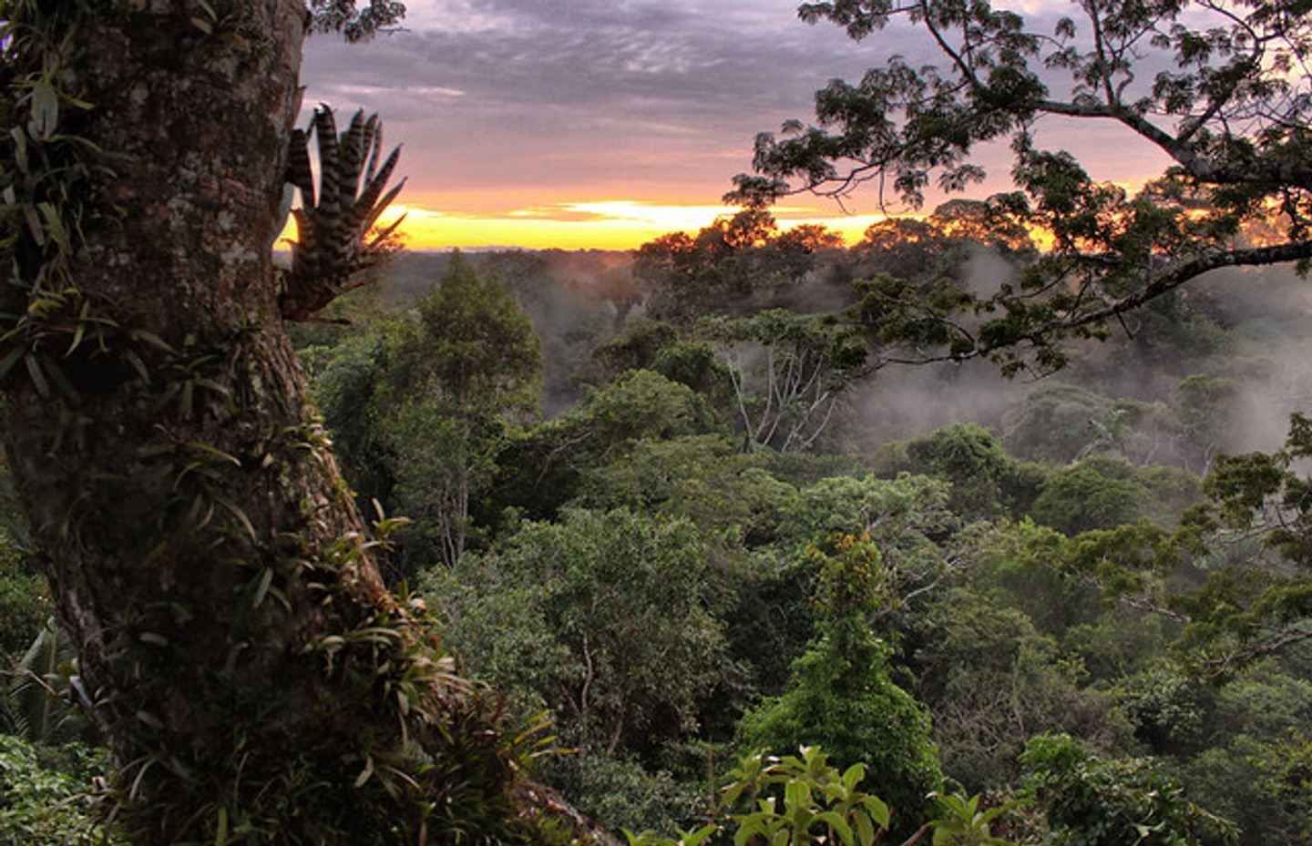 Unique Amazon Sustaintable Comunities Encounter in Ecuador (copy)
