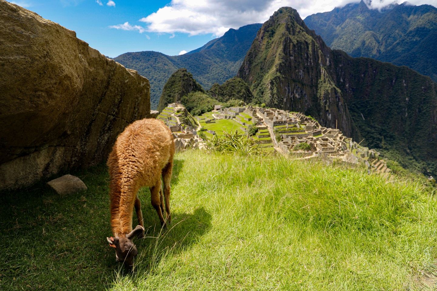 Adventure in the Andes: The Inca Trail