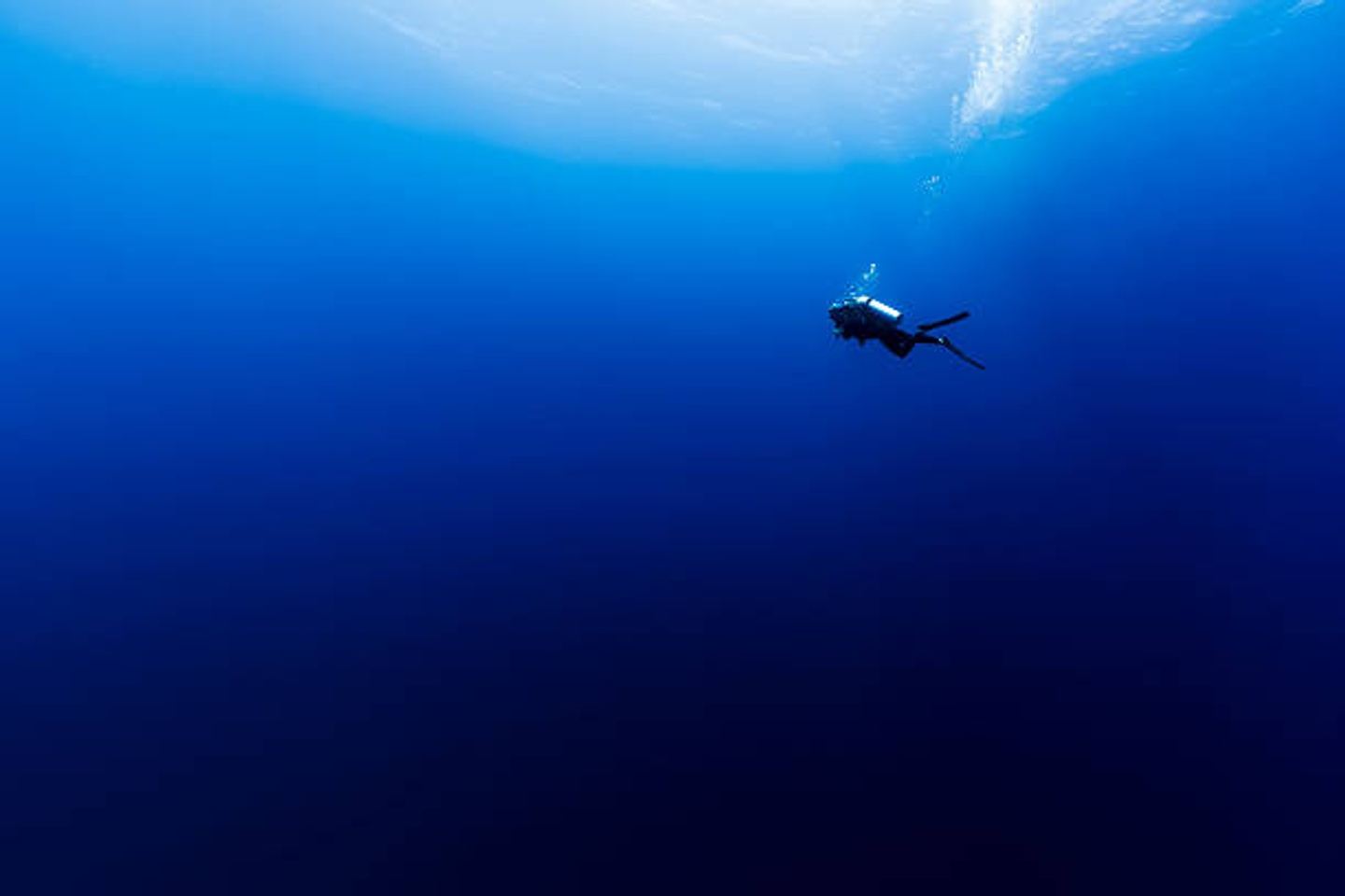 2 Tanks diving in El Bajo