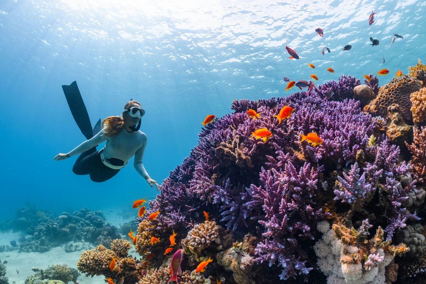 Red Sea | DAHAB
