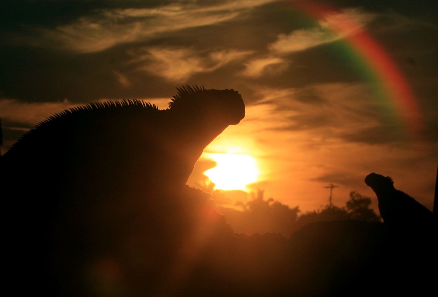 GIR Galapagos et merveilles des Andes