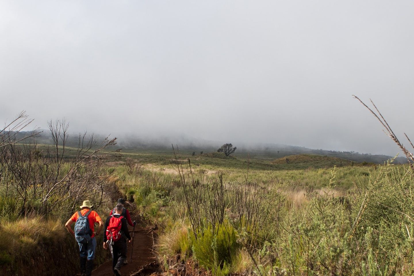 7 Days Umbwe Route Kilimanjaro
