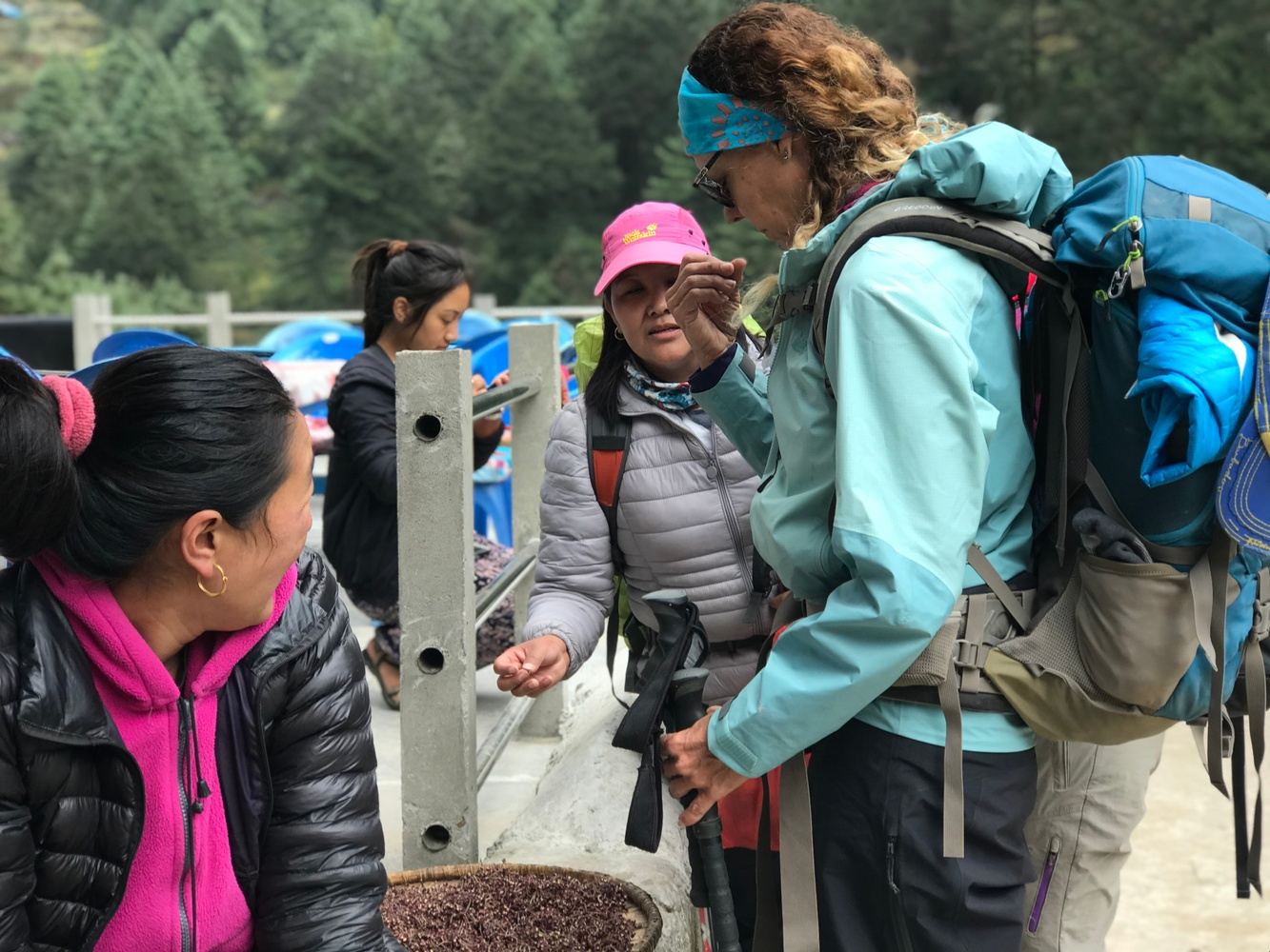 Nov 5 - 21st 2025 - Everest Base Camp with Sherpa Women Guide