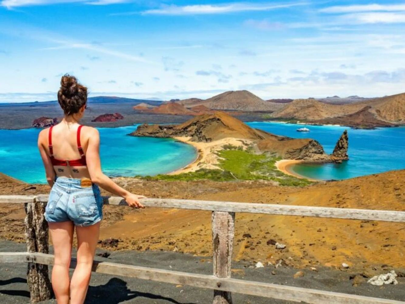 Bartolome Island Daily Cruise / Luxury