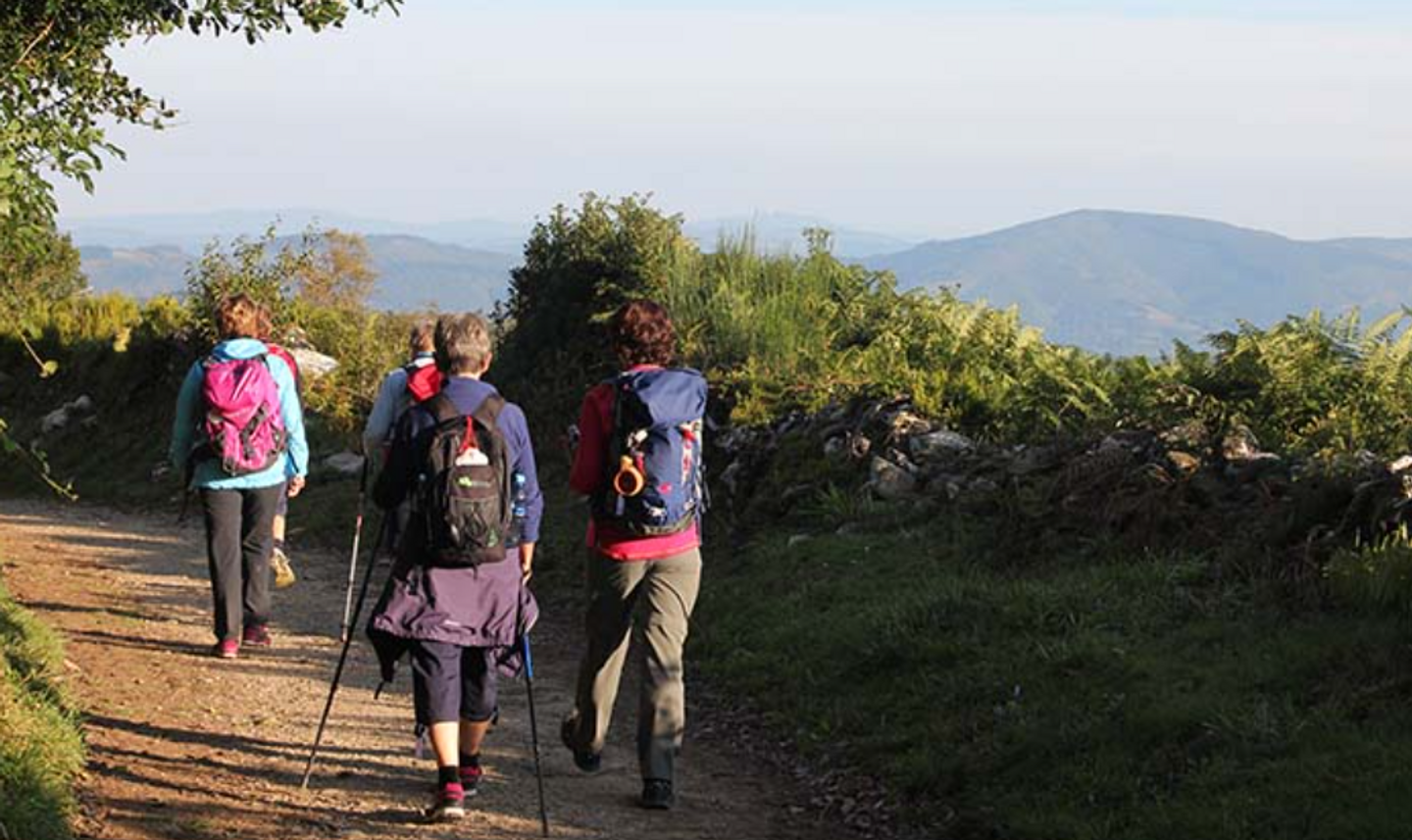 The French Way Walking Guided