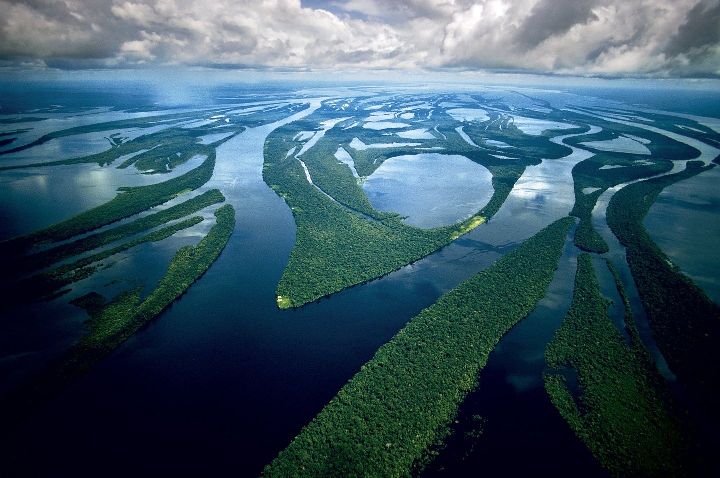 Amazonas - The lung of the world