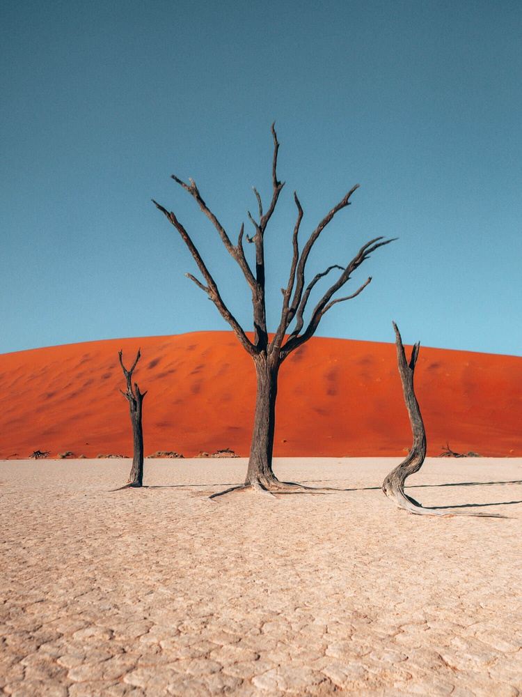 Jeffrey Kieffer - Namibia Photography Expedition 2025
