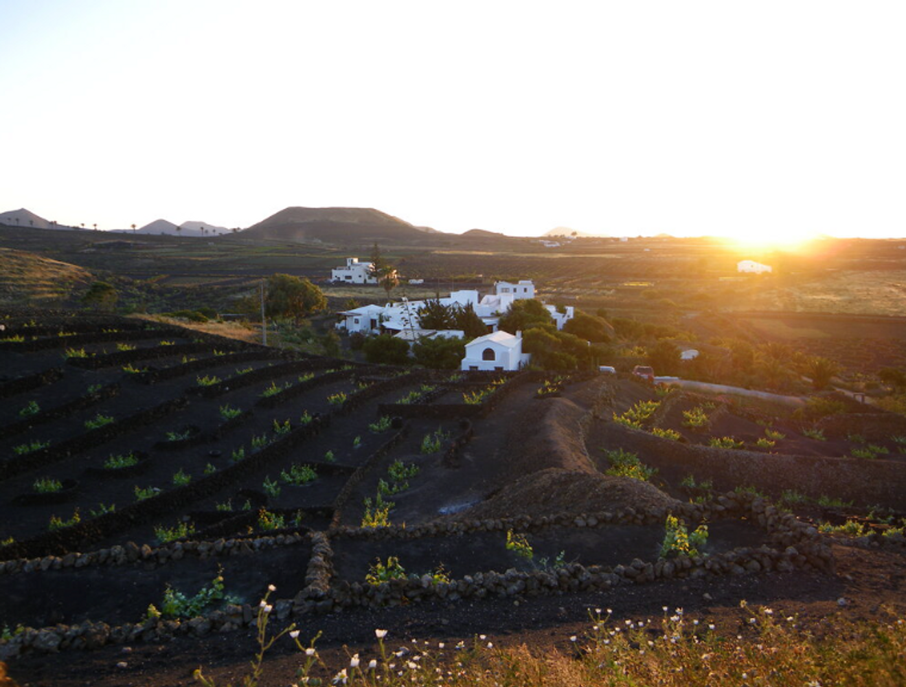 Disconnect to Reconnect LANZAROTE