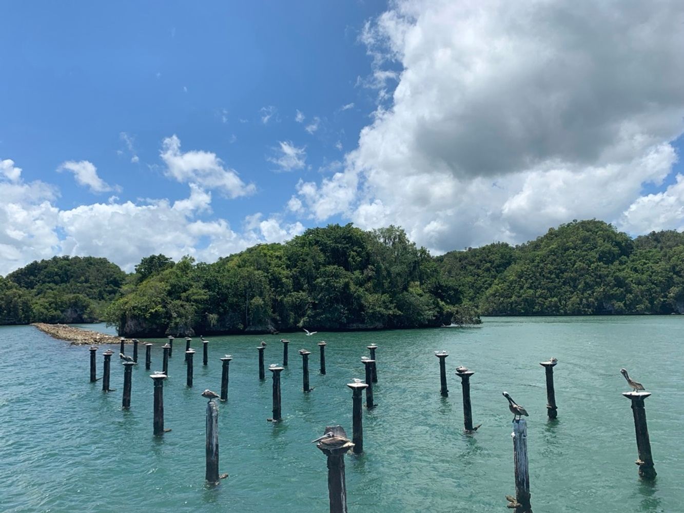 Parque Nacional Los Haitises + Caño Hondo in 32000 Samana, Dominican