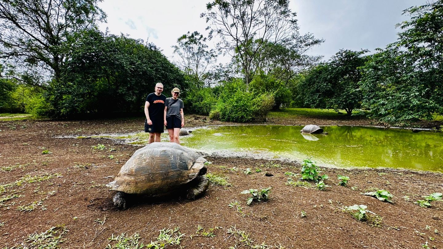 The iconic Galapagos Giant Tortoise Experience | Los Gemelos | Shared