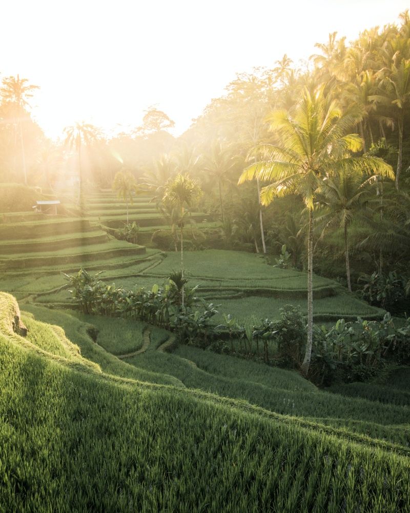 ESCAPISM RETREAT | BALI