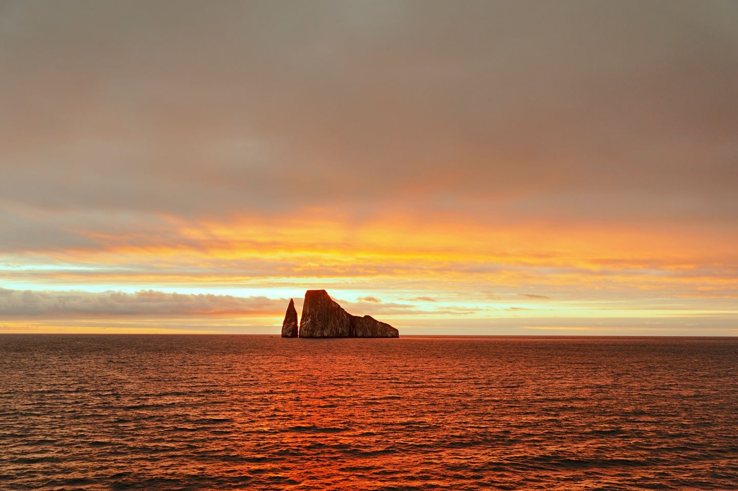 Kicker Rock Tour