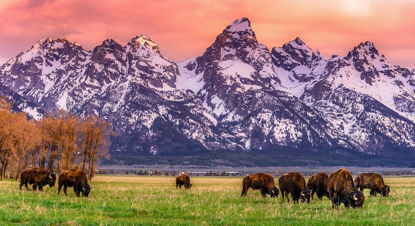 Iconic National Parks Monuments & Scenery