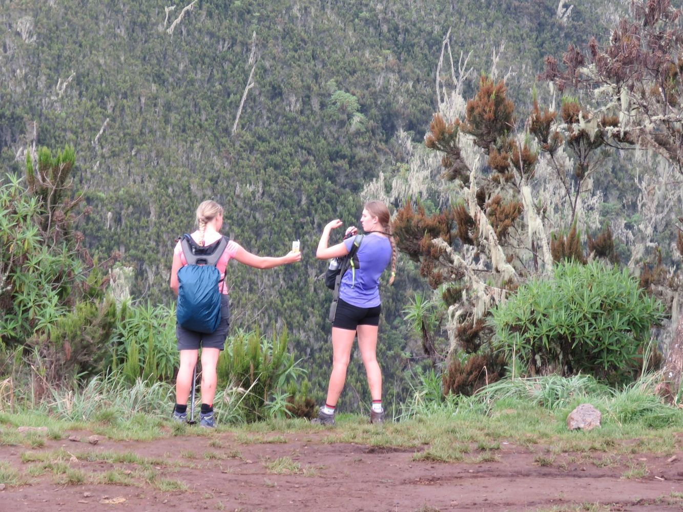 7 Days Machame Route - trekking Kilimanjaro up to the Top